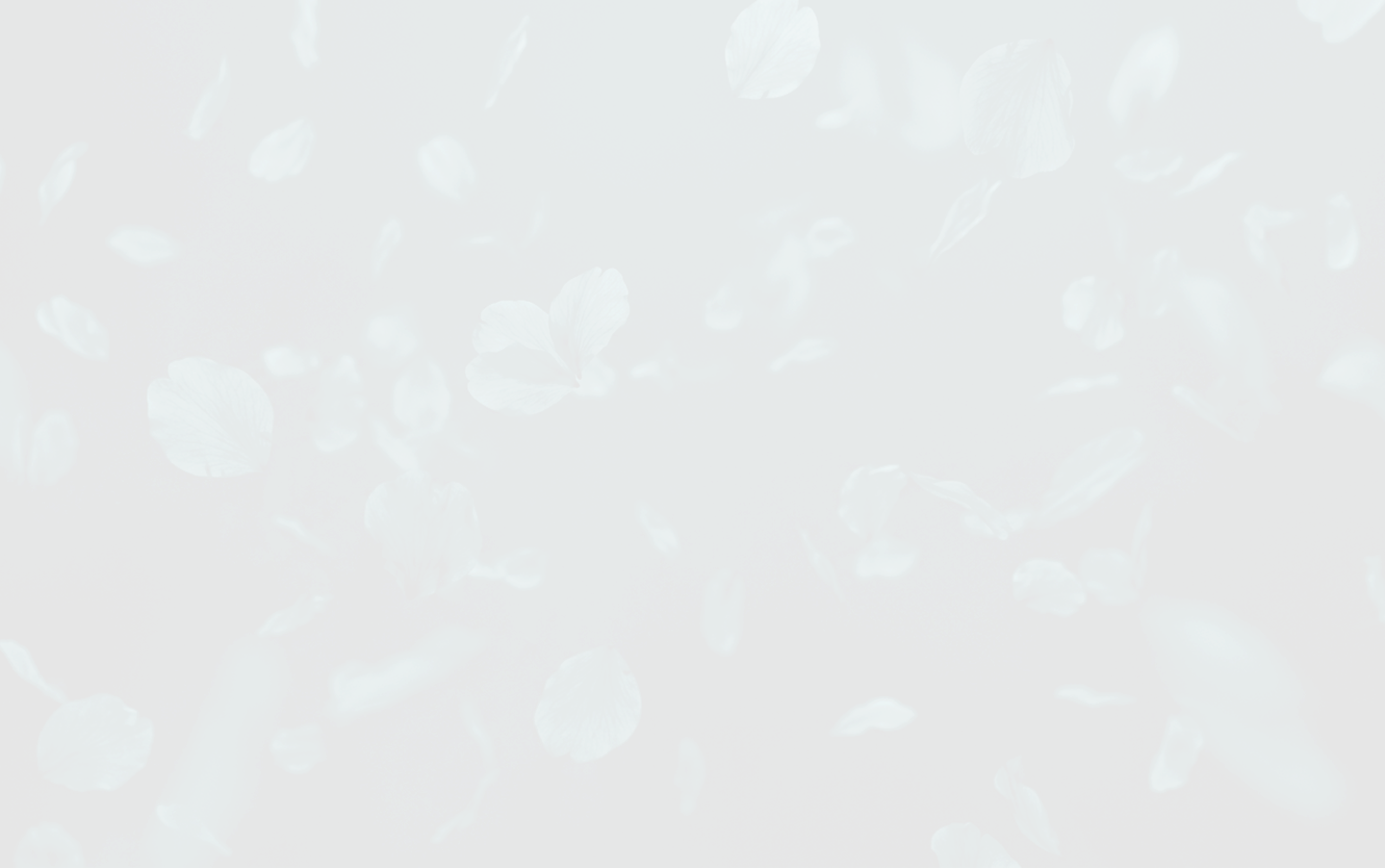 gallery background